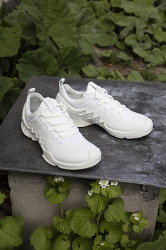 Image of ECCO Sport Biom AEX LX