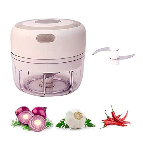 Buy Electric Mini Garlic Chopper, 250ML Food Processor Garlic Blender