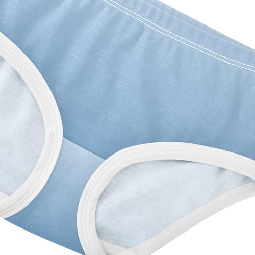 Joisal Cotton Toddler Girls Underwear Elegant Blue Steel Gradient Little Girl Panties Funny Briefs Kids Undies 2t4