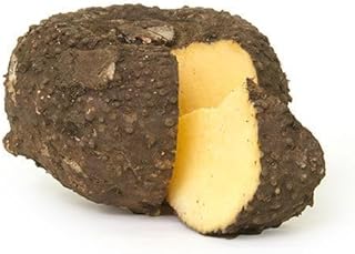 Generic New Fresh 10pcs Elephant Foot yam Plant Seeds