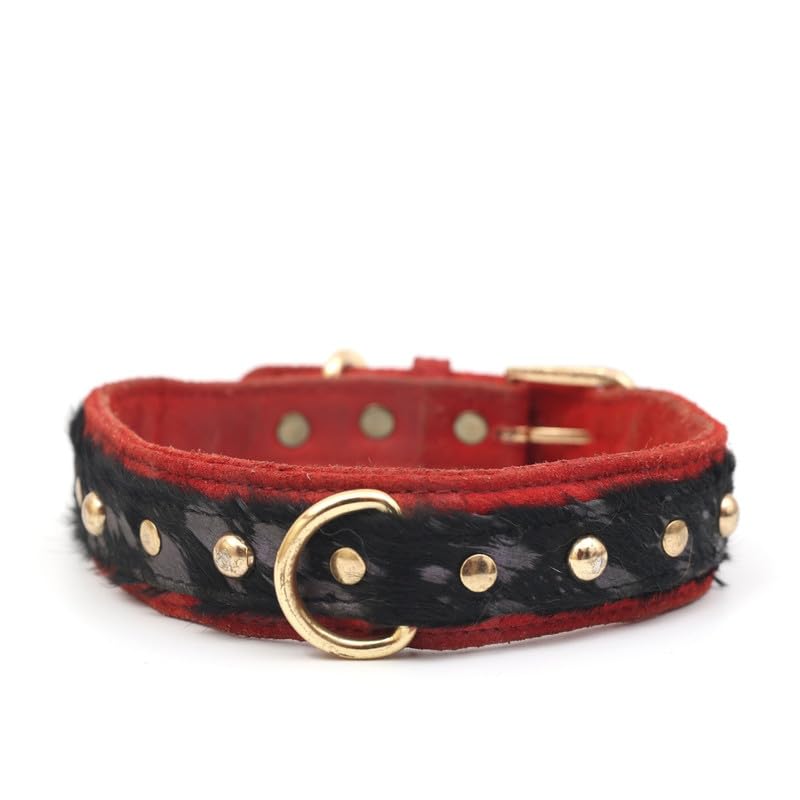 Pampaw Leather The Dino Collars for Dogs, Cats & Puppies - Soft Durable & Strong (10-15 Inch_Red) (B0CT2M5JSL) Amazon Price History, Amazon Price Tracker