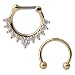 Ruifan 16G Horseshoe Circular Barbell and Nose Ear Daith Septum Clicker Ring with Clear CZ Gems 316L Surgical Steel 2PCS - Gold