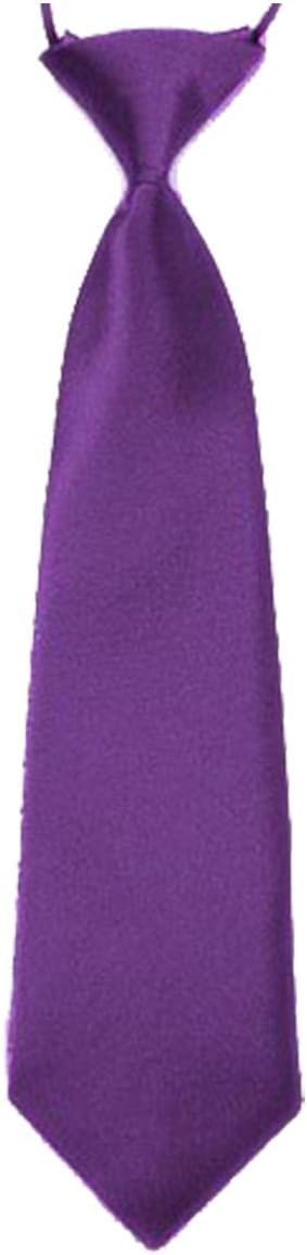 Robelli Boys Purple Kids Elastic Satin Neck Tie –