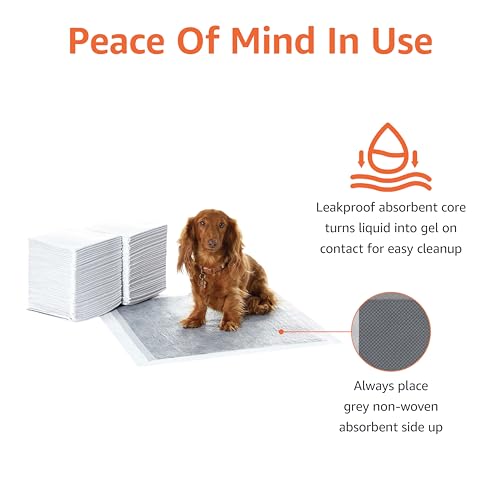 Image of Amazon Basics Carbon Odor Control Dog and Puppy Pee Pads, 5-Layer Leak-Proof Super Absorbent, Quick-Dry Surface for Potty Training, Regular Size 22 inchx22 inch, Gray, 80 Count