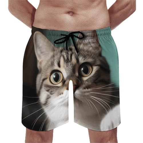 Mens Shorts A Curious Cat Men Swim Trunks Quick-Dry Beach Shorts with Drawstring Pocket Bathing Suit
