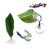 Material de alta calidad: material de plástico ligero, duradero y seguro. Cómodo y práctico. Las hojas oscilan con las olas y pueden simular el entorno de vida de los peces Betta al aire libre.