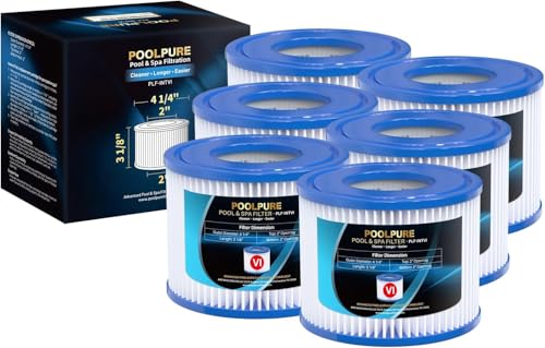 POOLPURE Lot de 6 filtres de Type VI pour Spa et - Remplace Les filtres Coleman SaluSpa 90352E Bestway