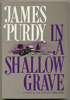Hardcover In a shallow grave Book