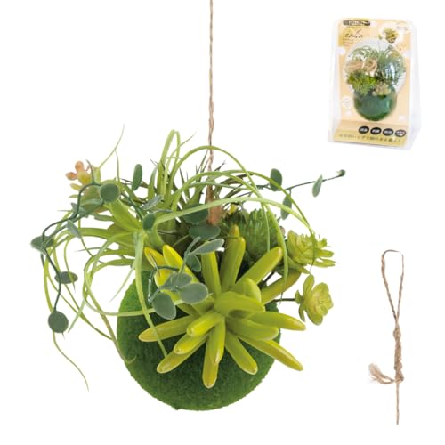 tFCNO[ ~j ݂艺 L A ۋ C CTG} {[ GNA STCY C^Cv