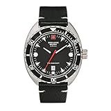 swiss alpine military