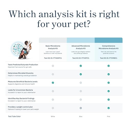 82% Off Petivity Microbiome Analysis Kit for Cats & Dogs