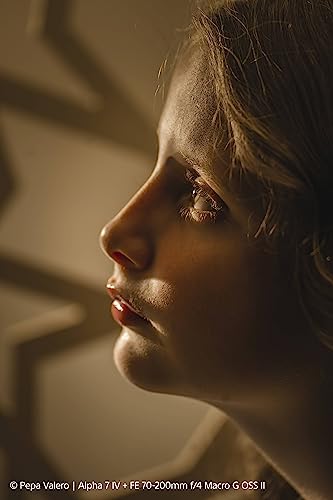 Sony SEL70200G2 – Téléobjectif Zoom 70-200 mm F4 G pour Plein Format et APS-C (léger, Monture E, idéal pour la Nature, Le Sport et Les Portraits, Compatible avec Les séries A7, ZV-E10, A6400, A6700)