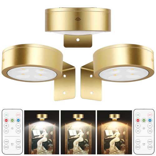 3pcs Picture Light Painting Light with 3 Lighting Colors,Battery Picture Light with Remote, Magnetic Wall Painting Light for Art Display,Dimmable Led Accent Lihgt for Picture Dartboard Frame Gallery