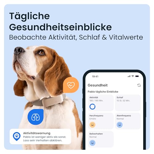 Tractive GPS Tracker Hund | 2025 Edition | Live-Ortung | Weglaufalarm | Aktivitätstracking | Gesundheitswarnungen | Bellverhalten | Empfohlen von Martin Rütter (Braun)