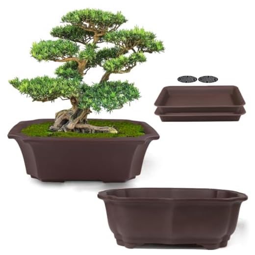 MUZHI 2 Pack 8" Unglazed Ceramic Bonsai Tree Pot Training Planter with Drainage Wiring Hole, Breathable Handmade Zisha Pottery Growing Plant Pot with Mesh Drip Tray Indoor Outdoor