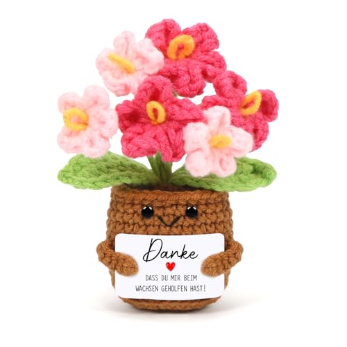 Cadimus Positive Blume,Kleines Dankesch&ouml;n Geschenk,Rosa Kleine Gestrickte Blume,Lustige H&auml;kelblumen Pocket Hug,Handgemachte Geh&auml;kelte Blumen,Danke Geschenk f&uuml;r Freunde Kollegen Familie Freundin