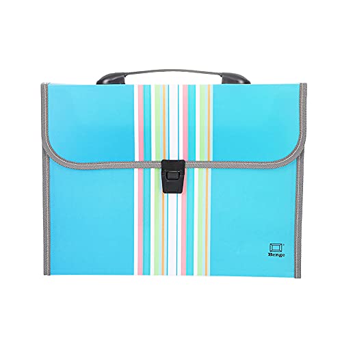 DAS LEBEN Expanding File Folder, Accordion Folder, 13 Pockets Colored Accordion A4 Document Organizer, for Office School