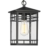 Treekee Outdoor Pendant Lighting, Hanging Lantern with Adjustable Chain, Exterior Hanging Porch Light in Black Finish with Seeded Glass, Outside Pendant Lamp for Front , Entry, Patio, Gazebo