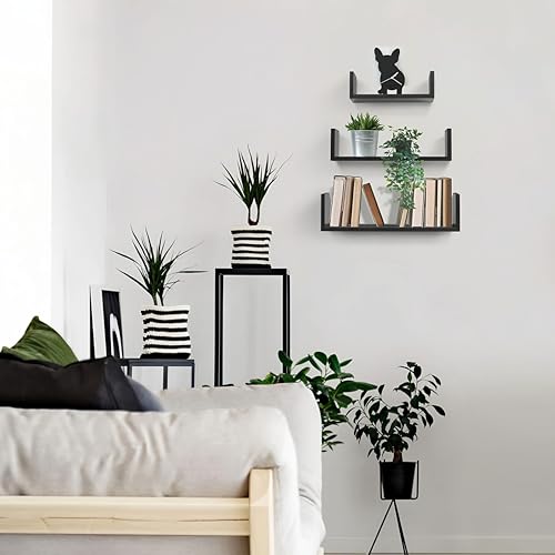 Image of Dime Store Engineered Wood Glossy Wall Mount Floating Hanging Shelf for Room Wall and Home Decor Items and Storage Organizer (Standard, Black), Set of 1