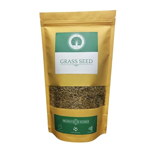 Fast Growing Grass Seed 500g - Ryegrass & Fescue Lawn Mix - Covers 30m2 - Pet & Child Safe - Resealable Recyclable Eco-Packaging - Ideal for Shade Sun Or High Traffic Lawns - UK Climate Friendly