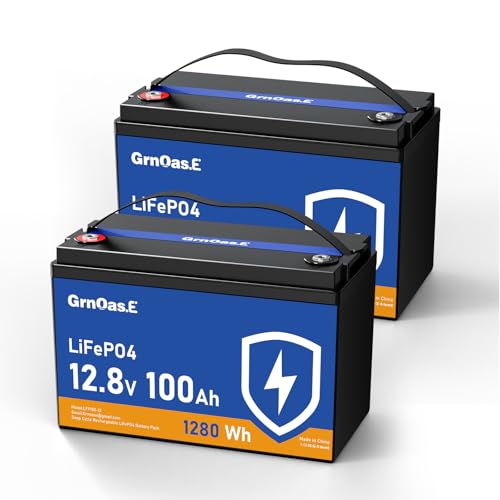 12V 100Ah LiFePO4 Lithium Battery, Group 31 Battery with Low-Temp Cut Off Protection, Built-in 100A...