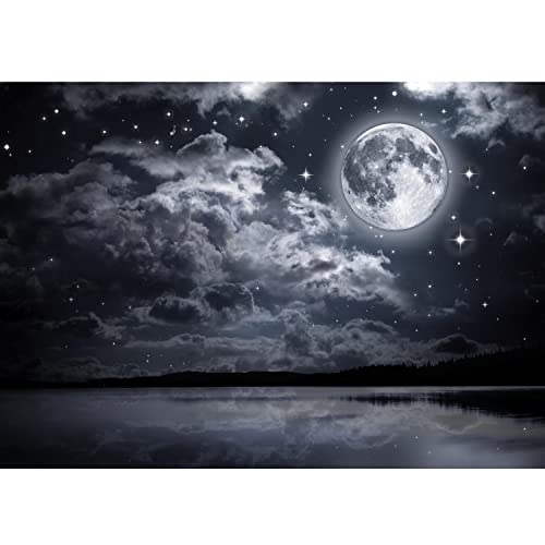 Runa Art Papel tapiz fotográfico Noche de Luna Llena 352 x 250 cm Lana Fondo De Pantalla XXL Moderna Decoración De Pared Sala Cuarto Oficina Salón Negro y blanco 9116011c
