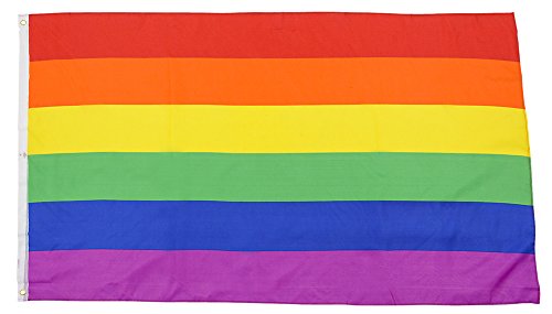 3' x 5' Rainbow Flag
