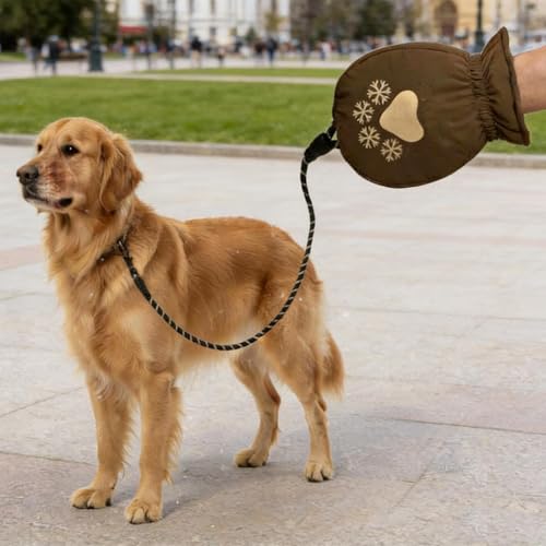 Corde de marche pour chien et gants thermiques de randonnée en plein air