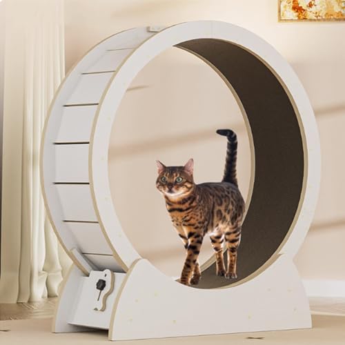 FLYXADQ キャットホイール 猫 回し車 低騒音 組み立て簡単 猫用トレッドミル 猫の車輪 キャットウォーク 爪研ぎ機能 運動装置 猫ランニングホイール 運動不足解消 室内運動用 キャット ローラー 運動不足のペットにも最適(白,M)