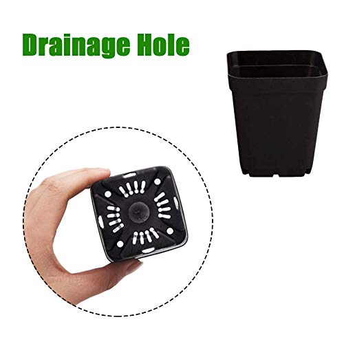 3 Inch Nursery Pot,24 Pack Black Small Plastic Square Flower Planting Pot,Square Plants Pots,Plant Starting Container With Drainage Hole #TOP3