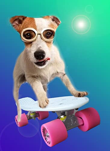 Complete 55cm Original 22” Mini Cruiser Board by Ridge Skateboards - Image 4