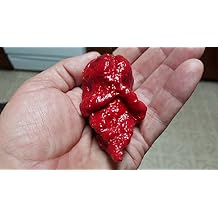 Apocalypse Scorpion Chile 10+ Seeds