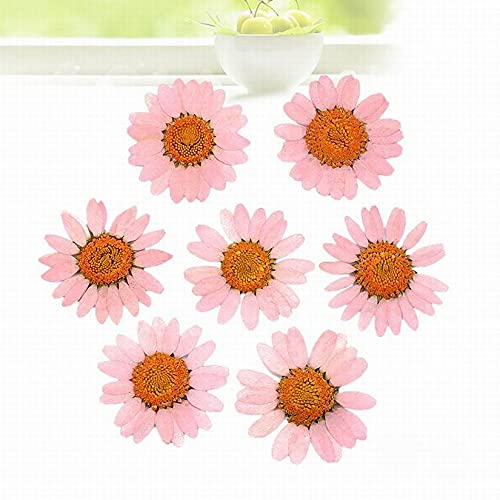 Flores secas prensadas para manualidades 120 pcs miniatura 4