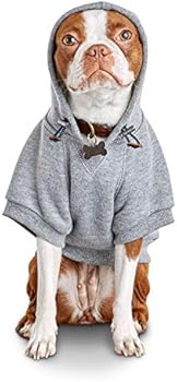 best friend ever dog hoodie
