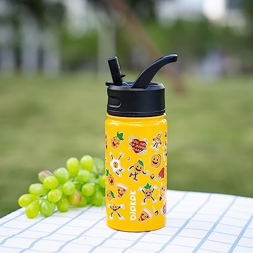 Image of BJPKPK Insulated Water Bottle, 15oz Stainless Steel with Straw Lid