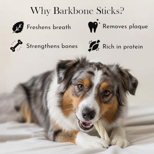 Image of Pets Empire Rawhide Chew White Sticks | Easily Digestible Rich of High Proteins | Treat Chew Nonveg Twisted Stick for Puppy | Dog Calcium Sticks Fresh & Natural10Pcs (Pack of 2)