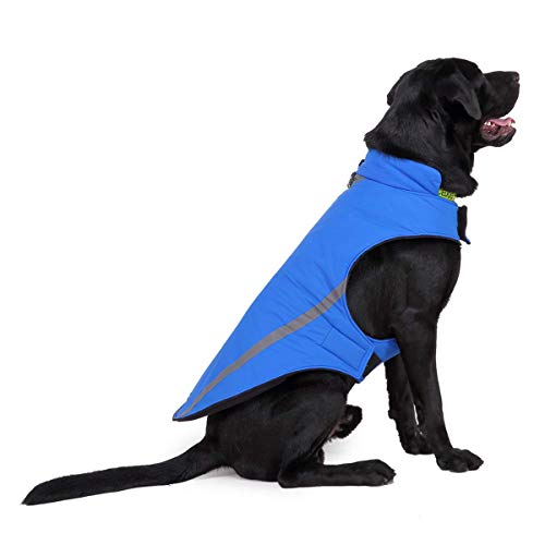 Find The Best Dog Coat For Hiking Reviews & Comparison Katynel