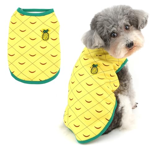 Ropa Perros Pequeños Hembra Marca Ranphy