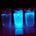 Easy to Grow - Enchanting bioluminescent Marine Plankton, PyroDino 3-Pack 20oz Glowing Plant-Plankton 600ml