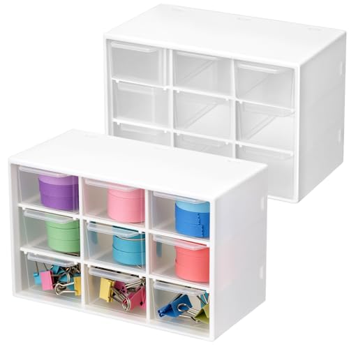 QWORK   2 Piezas caja almacenamiento organizador