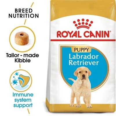 Royal Canin Labrador Junior Labrador-Futter für junge Labradore.