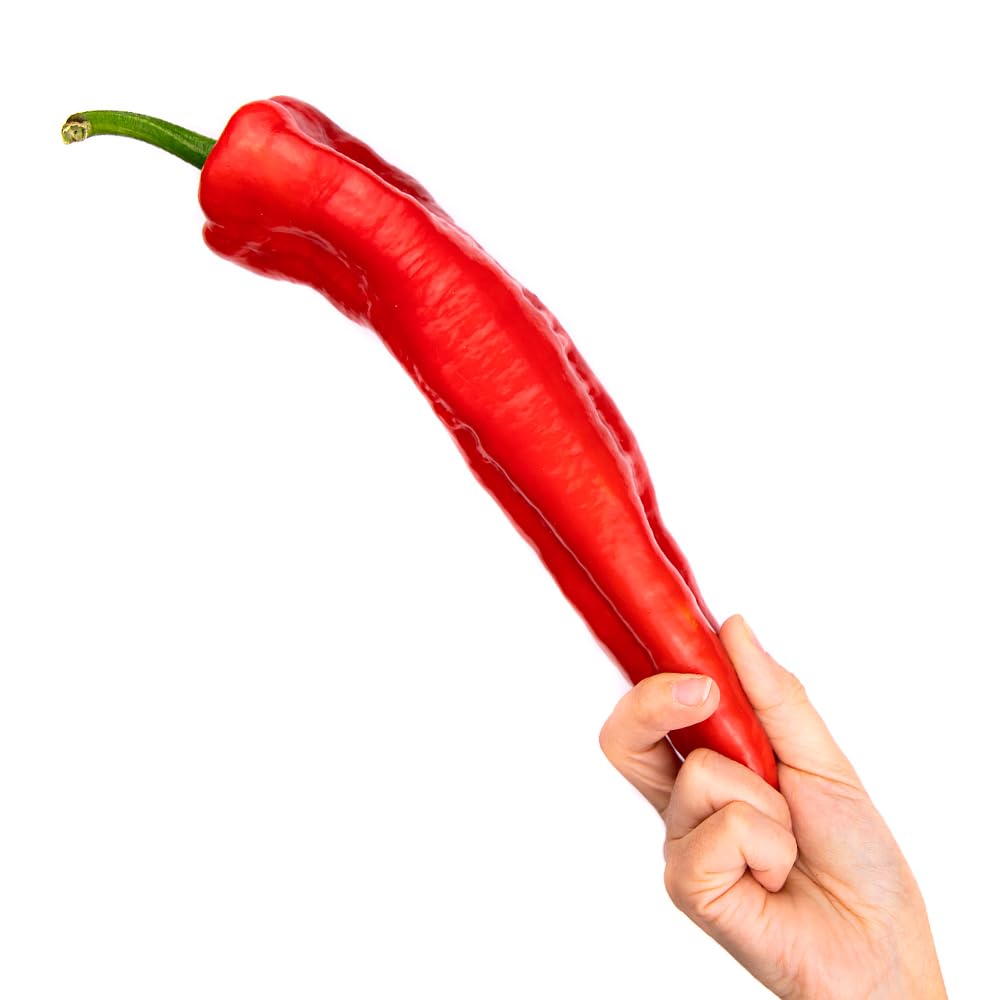 Pimiento Sweet Palermo 4 kg, La Parcela, Origen España, Andalucía (Costa Tropical), Comprar Pimiento Fresca, De La Huerta A Tu Casa, Producto de Cooperativa Granada La Palma