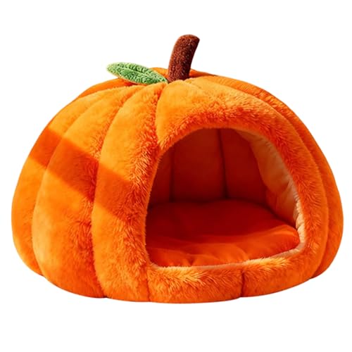 ybg \tgN[g P[W ybgL[ ybgnEX Jo[O Lp ܂肽ݎ \ xbh g ӂӂ 薰 ybg}bg Lpg ₷炬(IWCS)