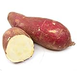 Sweet Japanese Potato (9 lbs)