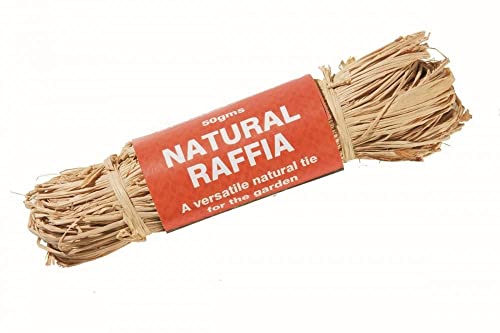 Garland Natural Raffia, 1.75 Ounce Bundle