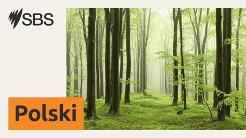 Australia, jak minął tydzień? - manipulacje cen nieruchomości