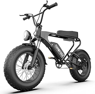 Tomofree Ship from US, Classic Electric Bike for Adults,1200W Motor, 20