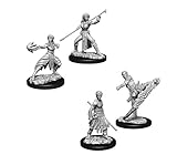 Dungeons & Dragons Nolzur's Marvelous Unpainted Miniatures Bundle: Male Half-Elf Monk W10 + Female...