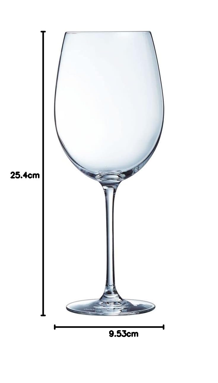 C6 COPA 75 CL CABERNET TULIPE C&S