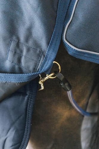 Couverture Kentucky 155 pour protéger le cheval au paddock en hiver - 3